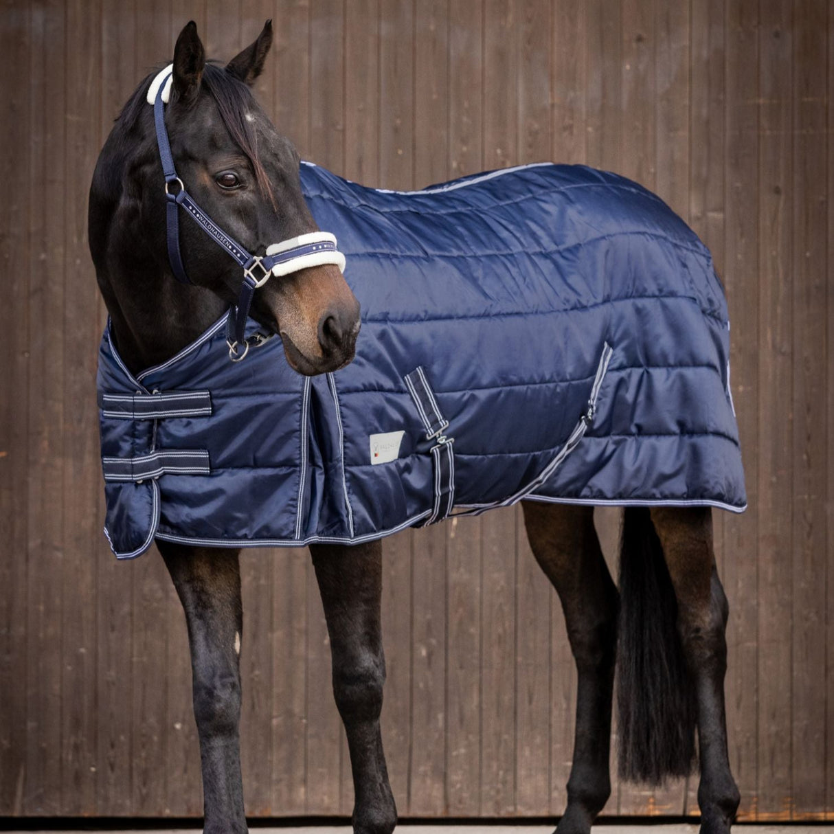 Waldhausen Economic 200g Stable Rug #colour_navy