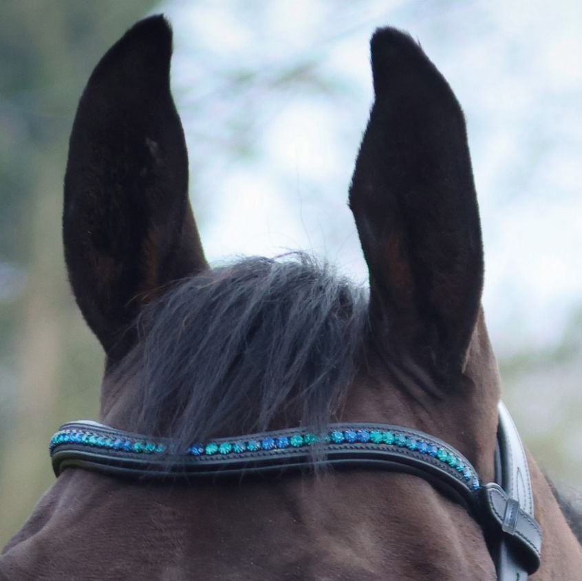 Mackey Midnight Sparkle Browband #colour_black