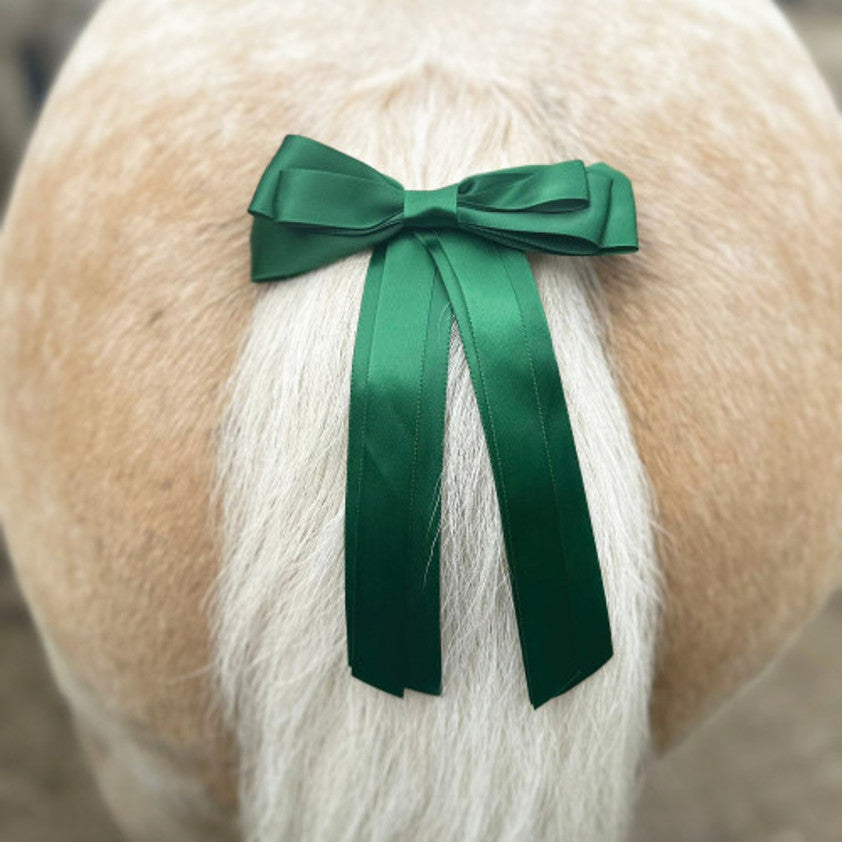 Equetech Horse Competition Warning Tail Ribbon #colour_green