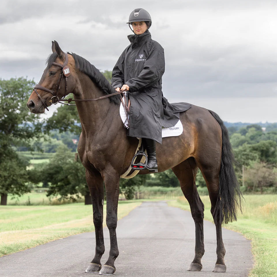 EQUIDRY Women's Mesh Lined Evolution #colour_black-black