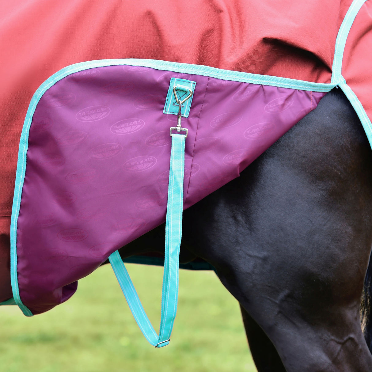 Weatherbeeta Comfitec Essential Standard Neck Lite Plus #colour_red-blue-beige