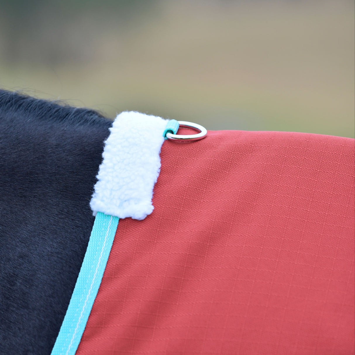 Weatherbeeta Comfitec Essential Standard Neck Lite Plus #colour_red-blue-beige