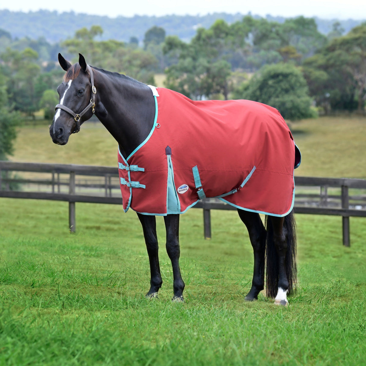 Weatherbeeta Comfitec Essential Standard Neck Lite Plus #colour_red-blue-beige