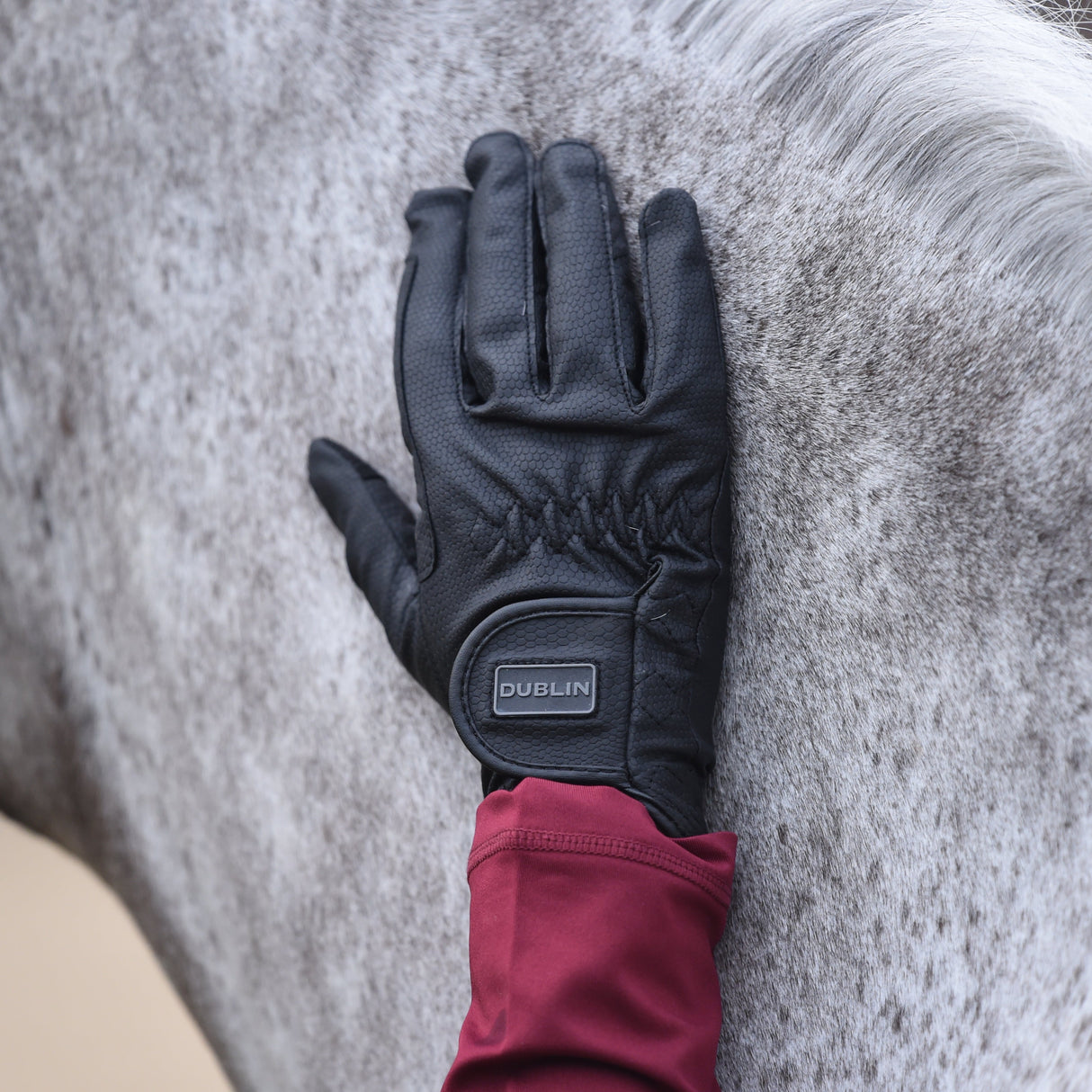 Dublin Everyday Riding Gloves #colour_black