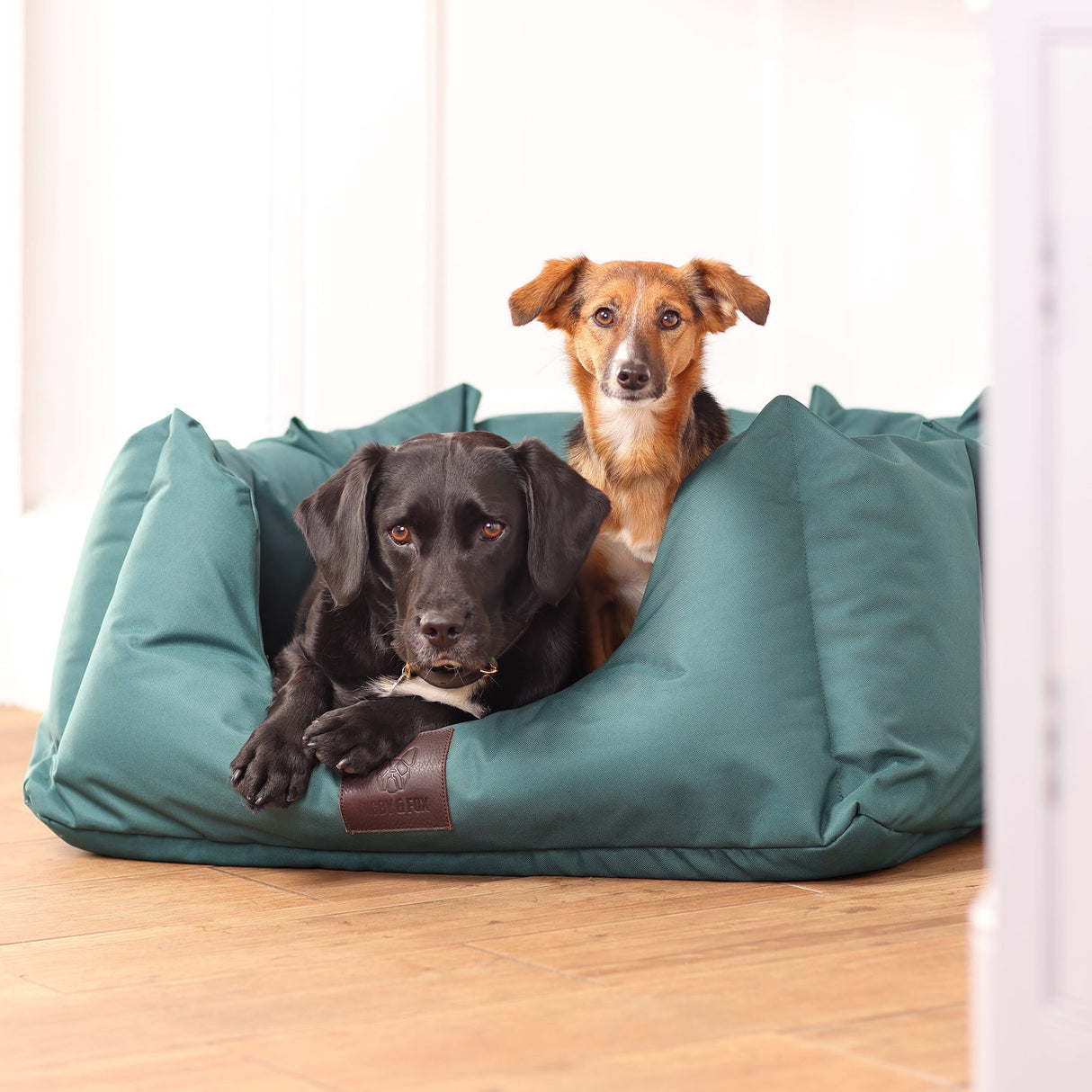 Shires Digby & Fox Nest Dog Bed #colour_green