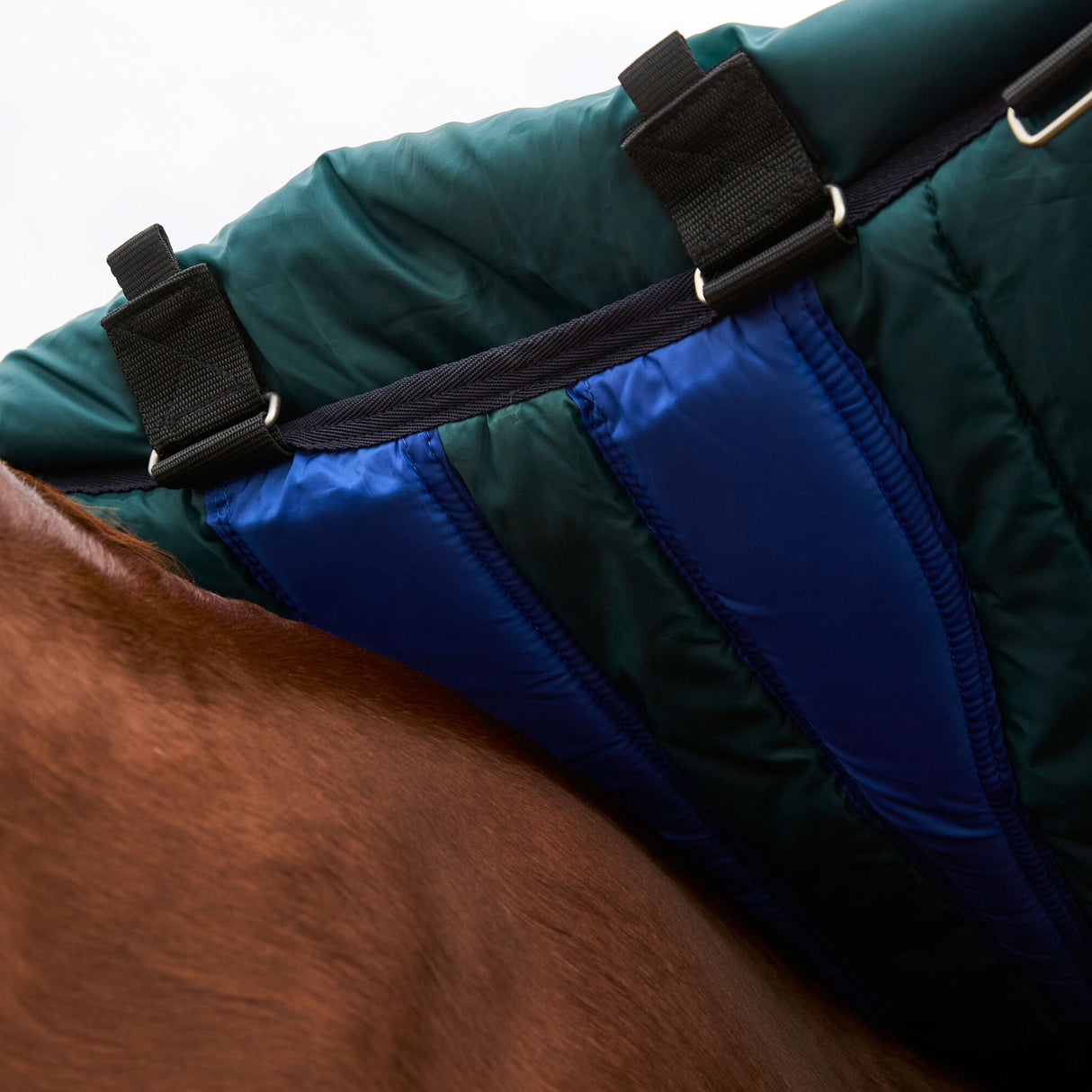 Weatherbeeta Comfitec Plus Dynamic 220G Detach-A-Neck Turnout #colour_forest-green-navy