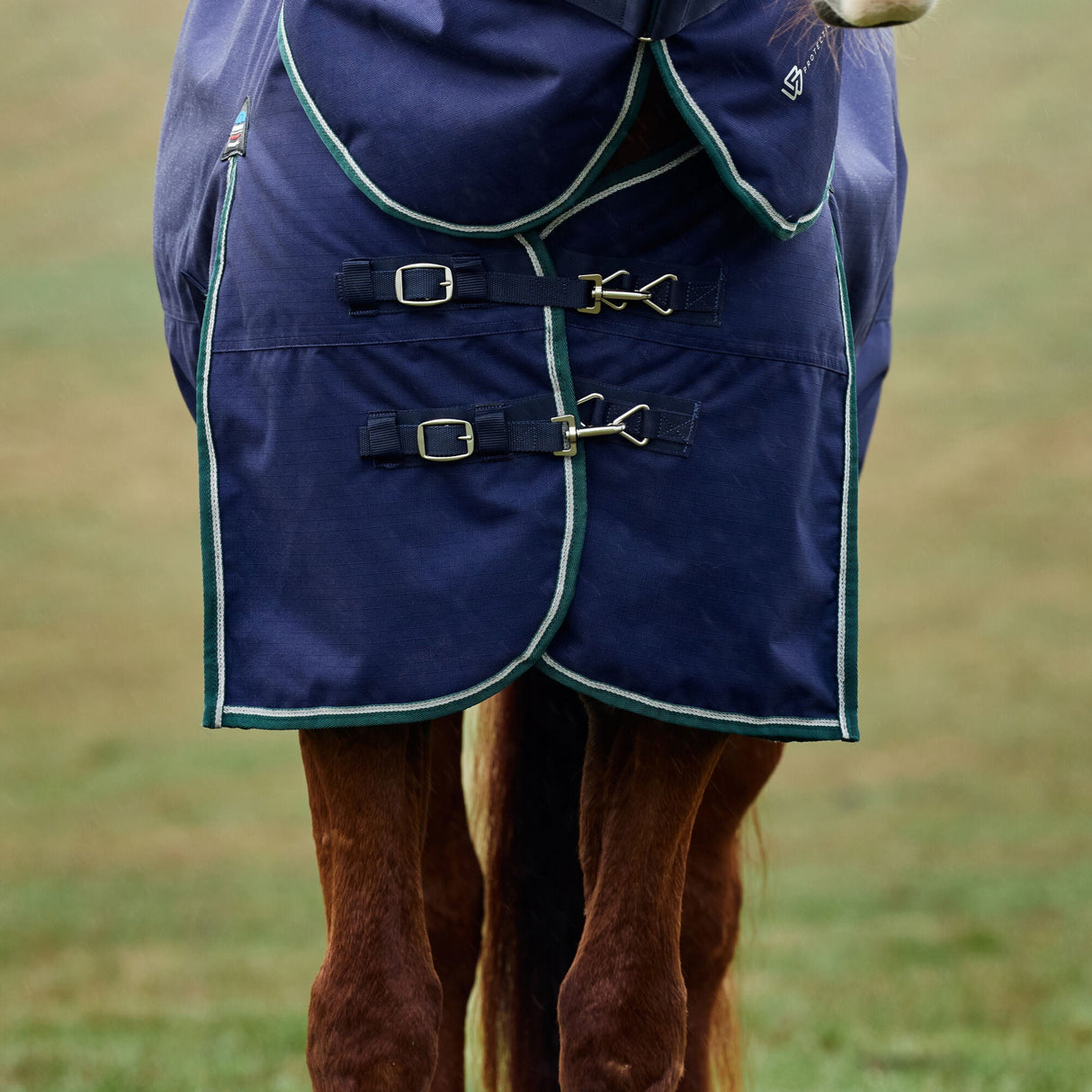 Weatherbeeta Comfitec Plus Dynamic 220G Detach-A-Neck Turnout #colour_navy-forest-green