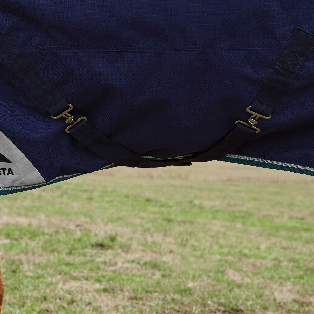 Weatherbeeta Comfitec Plus Dynamic 220G Detach-A-Neck Turnout #colour_navy-forest-green