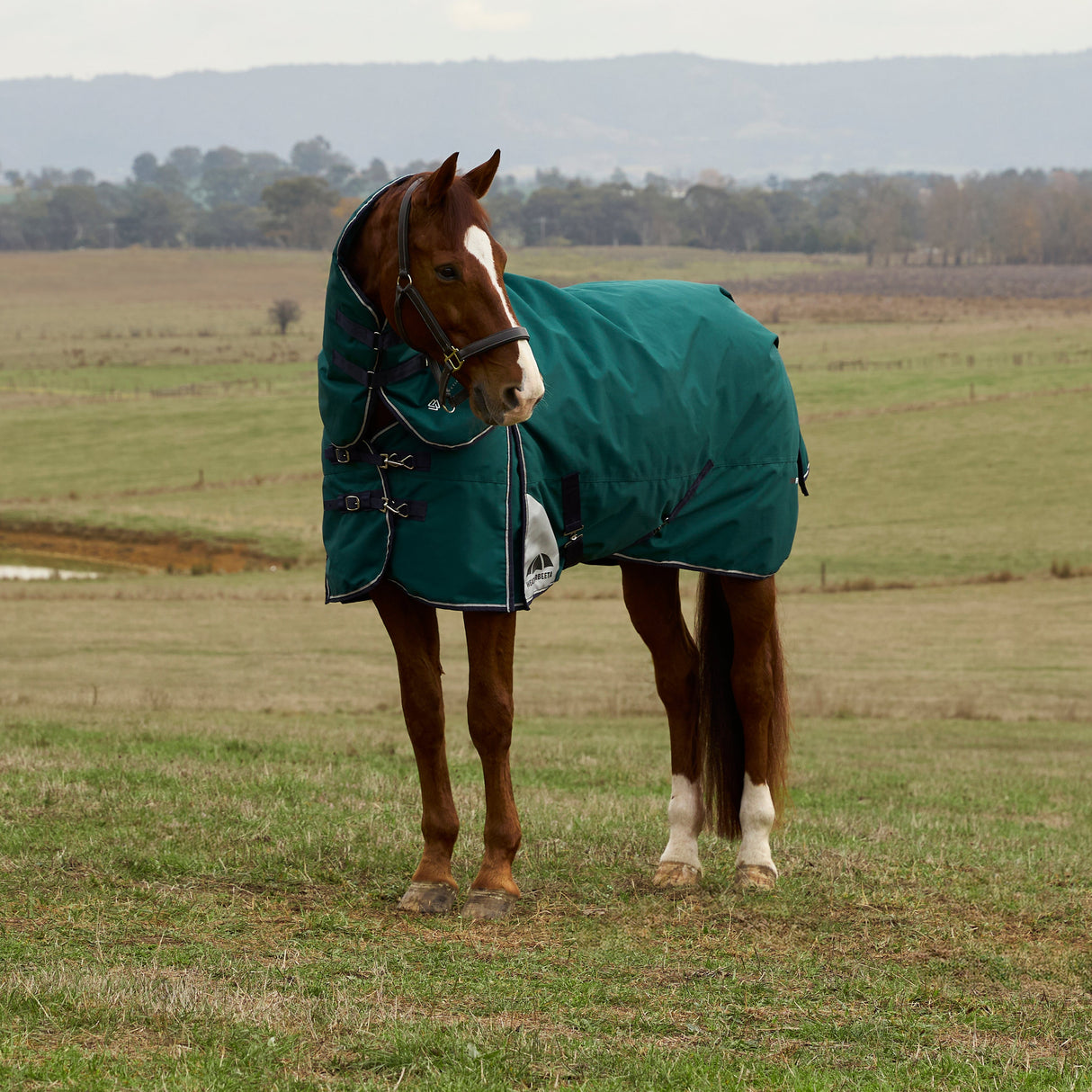 Weatherbeeta Comfitec Plus Dynamic 100G Detach-A-Neck Turnout #colour_forest-green-navy