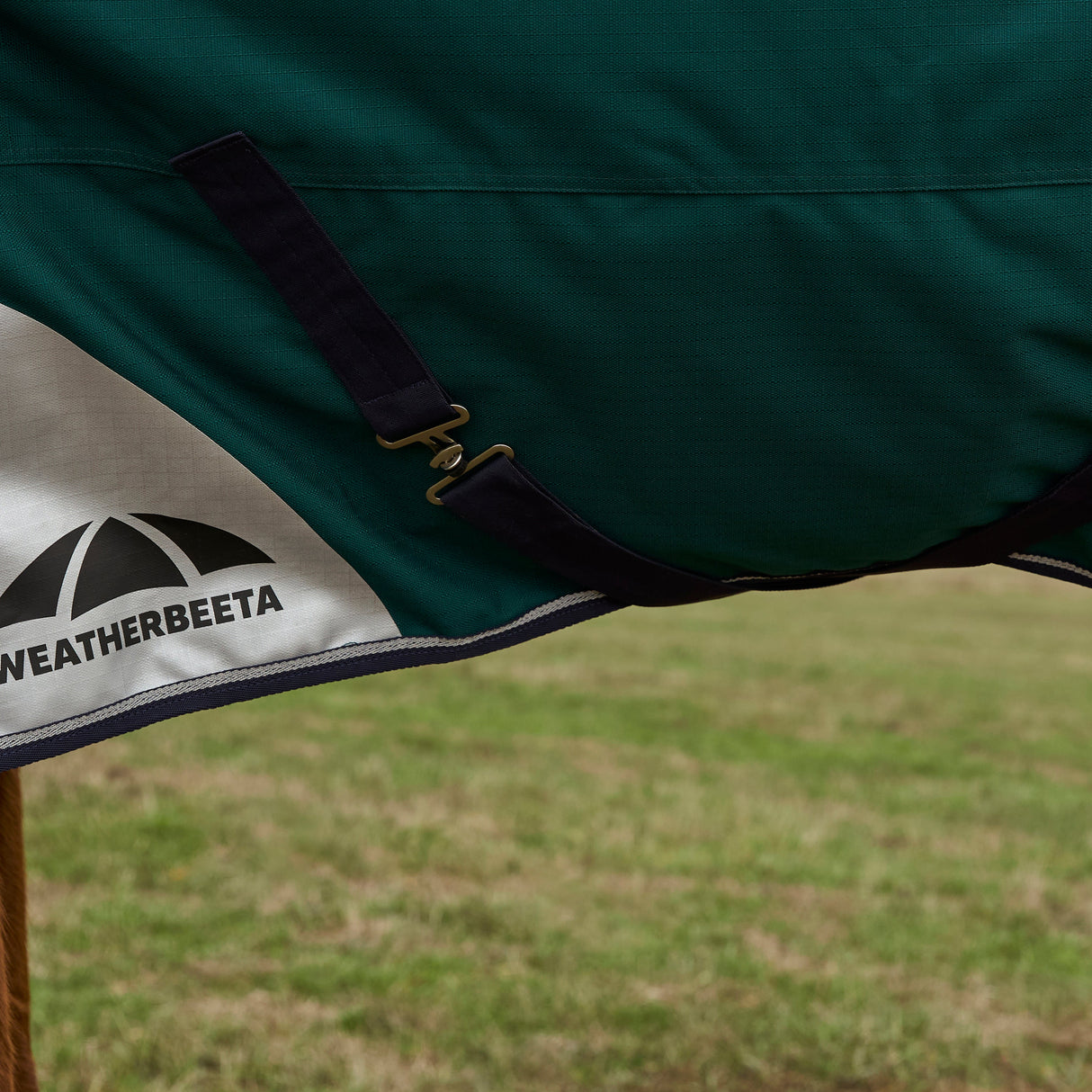 Weatherbeeta Comfitec Plus Dynamic 100G Detach-A-Neck Turnout #colour_forest-green-navy