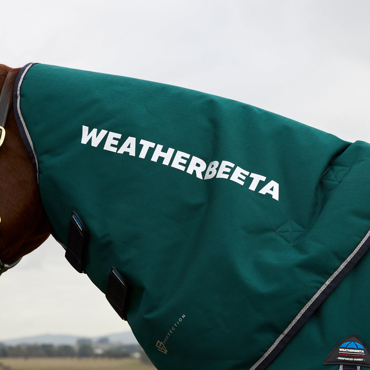 Weatherbeeta Comfitec Plus Dynamic 0G Detach-A-Neck Turnout #colour_forest-green-navy
