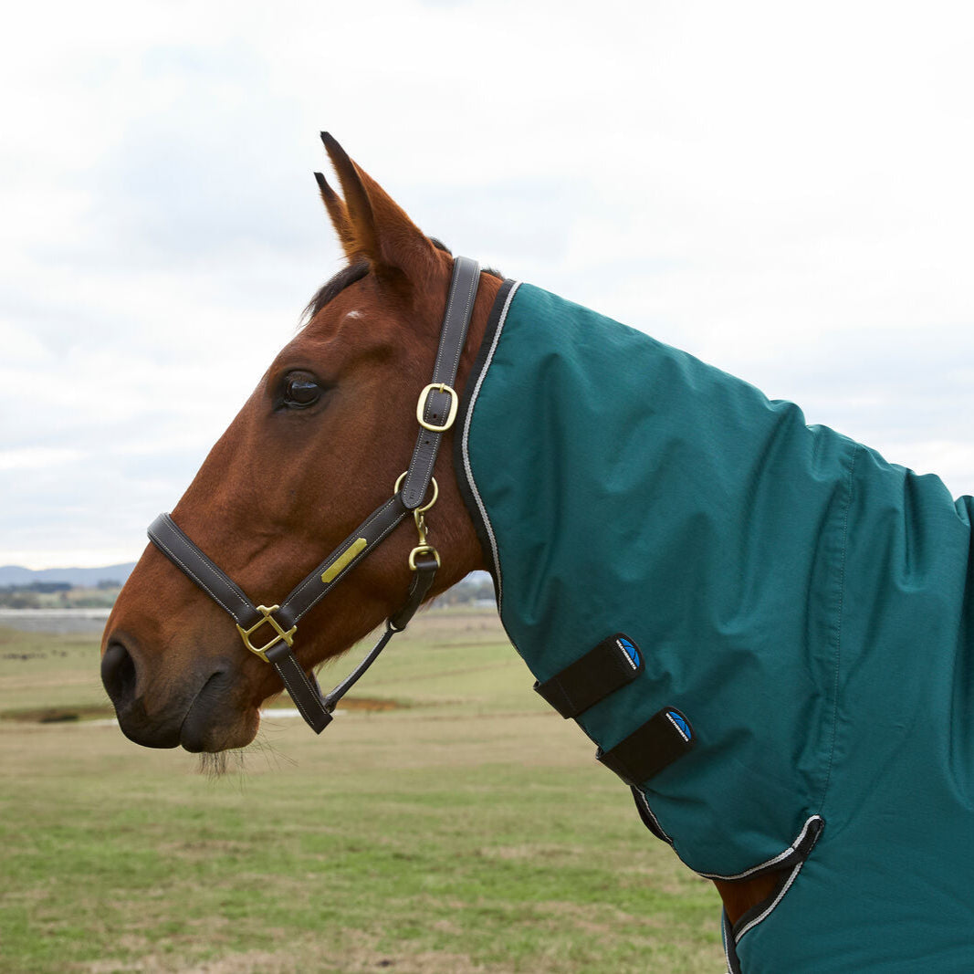 Weatherbeeta Comfitec Classic 220G Combo Turnout