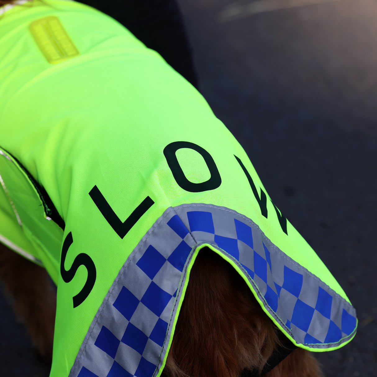 Shires EQUI-FLECTOR® Mesh Dog Coat #colour_yellow