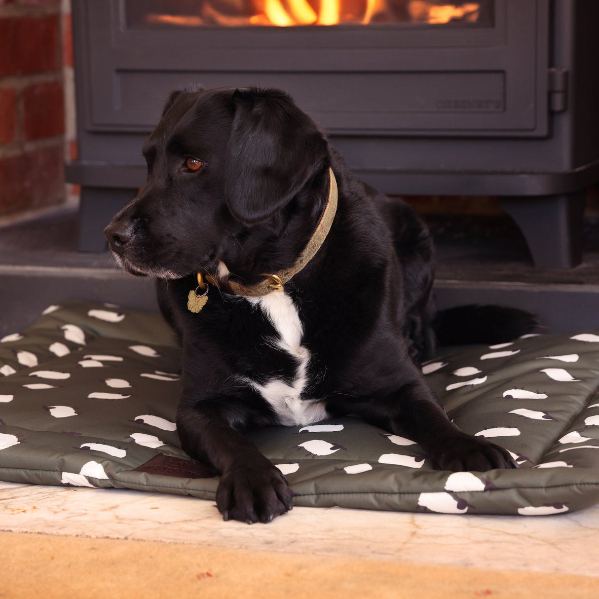 Shires Digby & Fox Waterproof Padded Dog Bed #colour_sheep