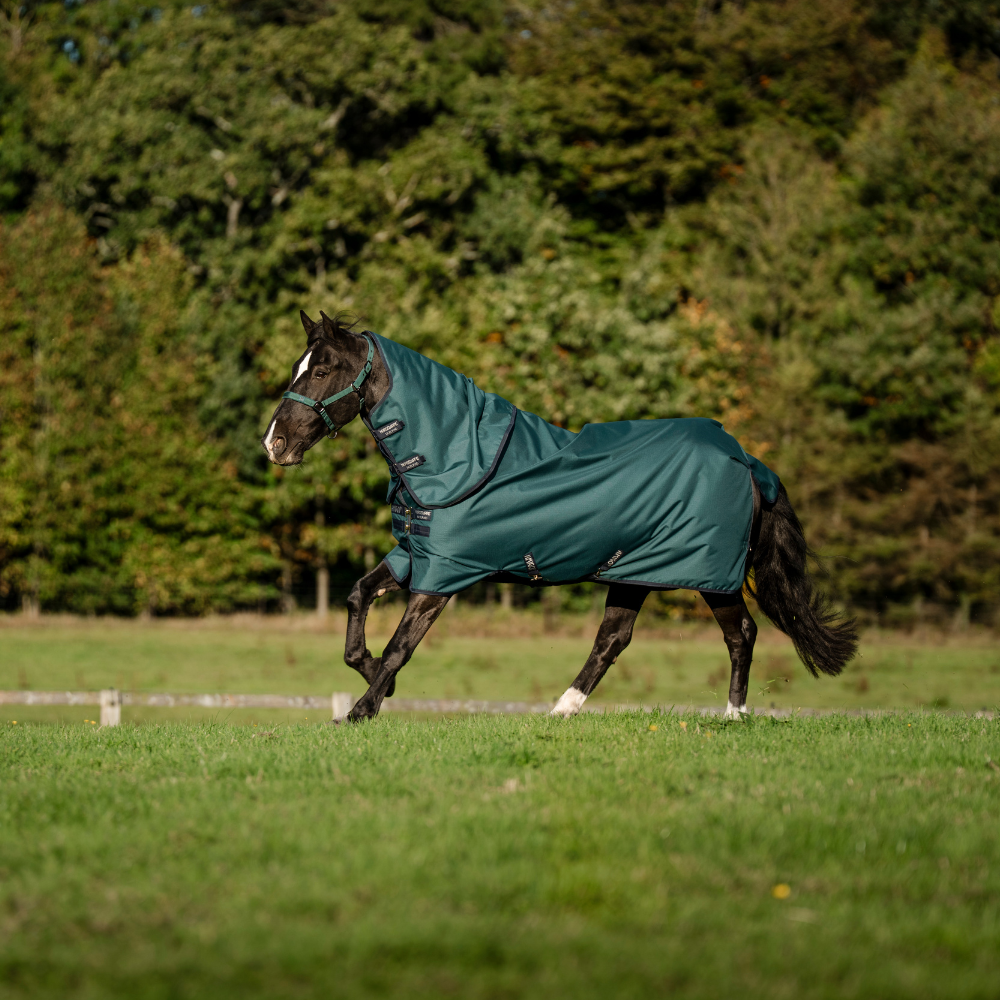 Horseware Ireland Amigo Ripstop 900D Plus 0g Pony Turnout Rug #colour_dynasty-green-navy-silver