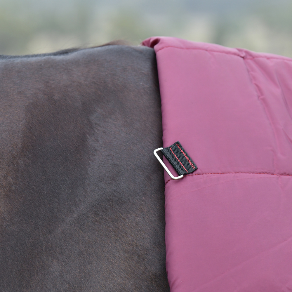 Weatherbeeta Comfitec Essential 360G Combo Turnout #colour_burgundy-navy