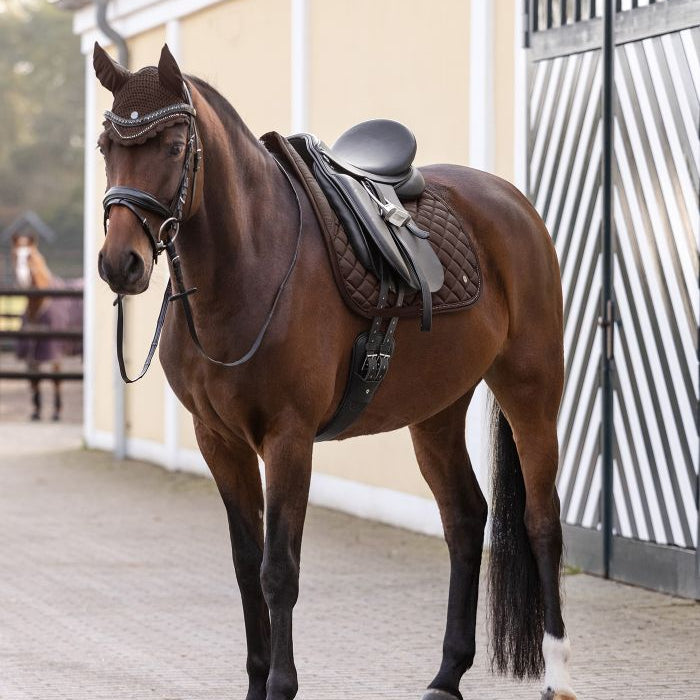 Waldhausen Nepal Fly Veil #colour_brown