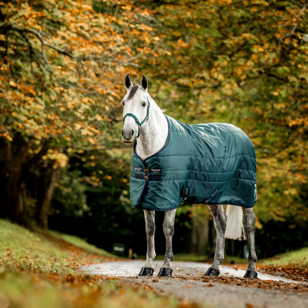 Horseware Ireland Amigo Ripstop Insulator 50g Stable Rug #colour_dynasty-green-navy-silver