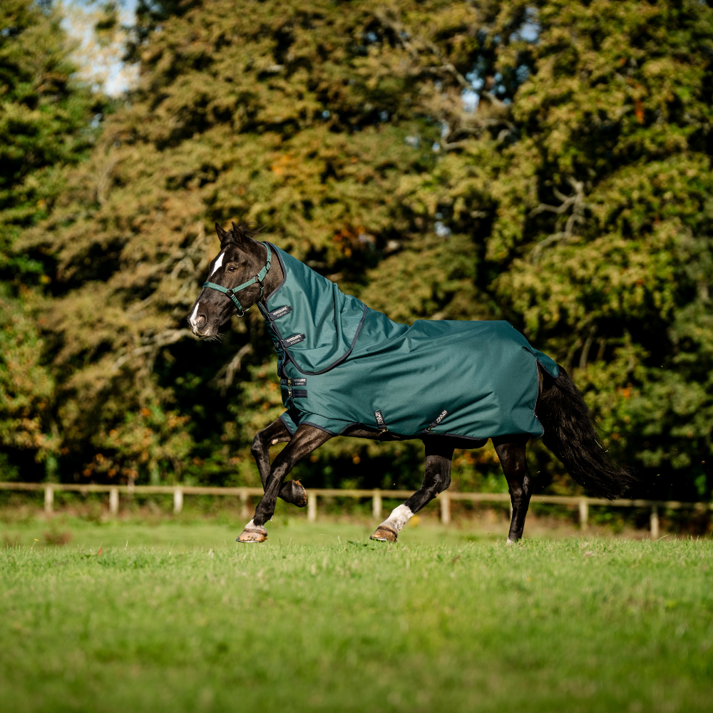Horseware Ireland Amigo Ripstop 900D Plus 0g Pony Turnout Rug #colour_dynasty-green-navy-silver