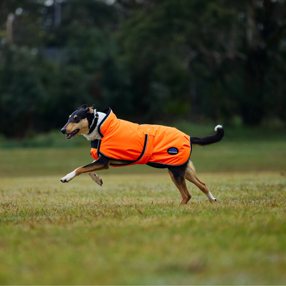 Weatherbeeta Comfitec Reflective 300D Deluxe Showerproof Dog Coat #colour_orange
