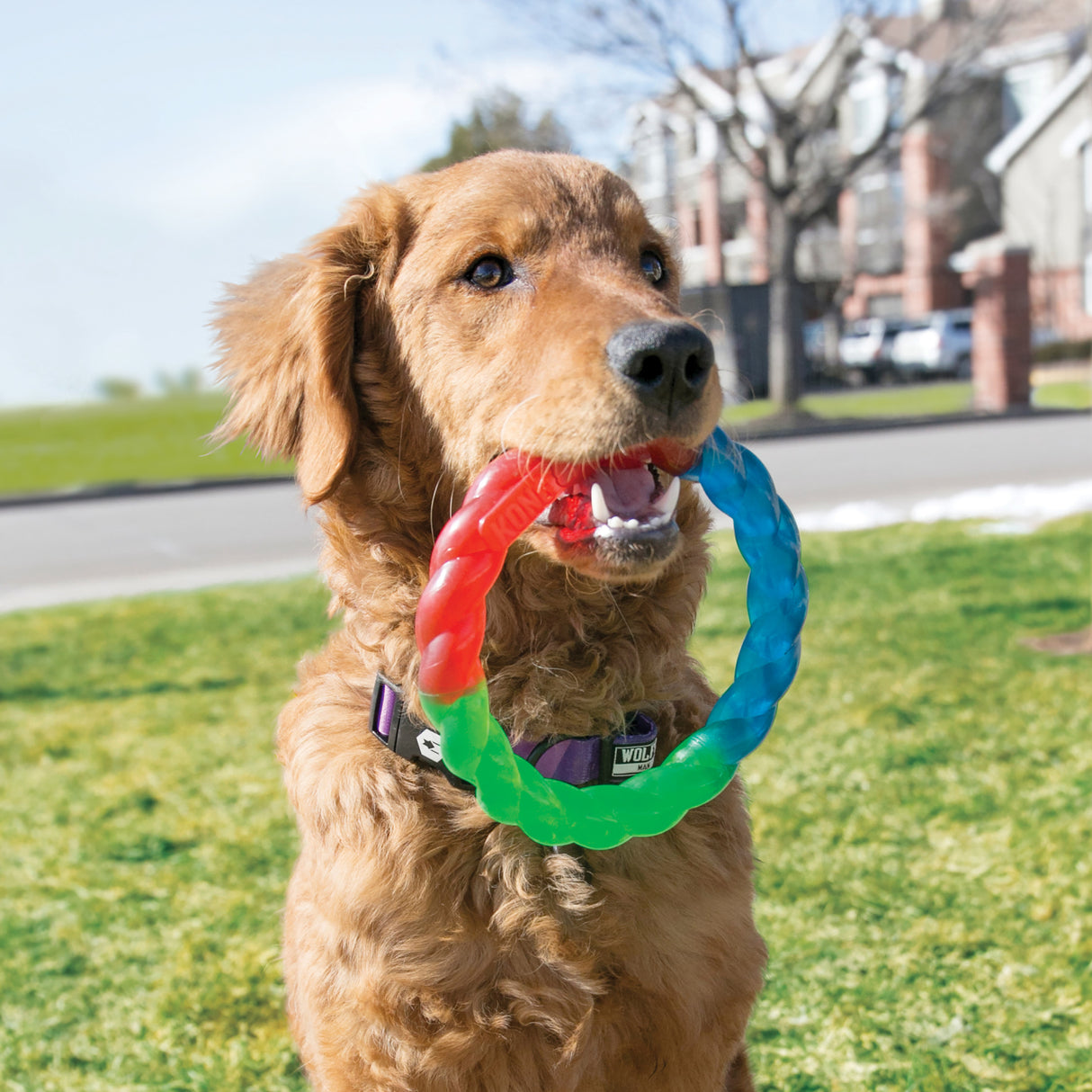 KONG Twistz Ring #size_s