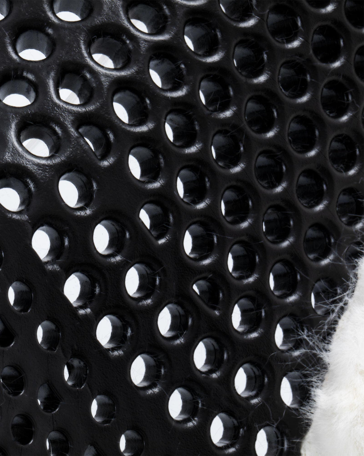 Acavallo Gel Ns-Fs Classic-Fs Cut-Out Rear Riser #colour_black-white