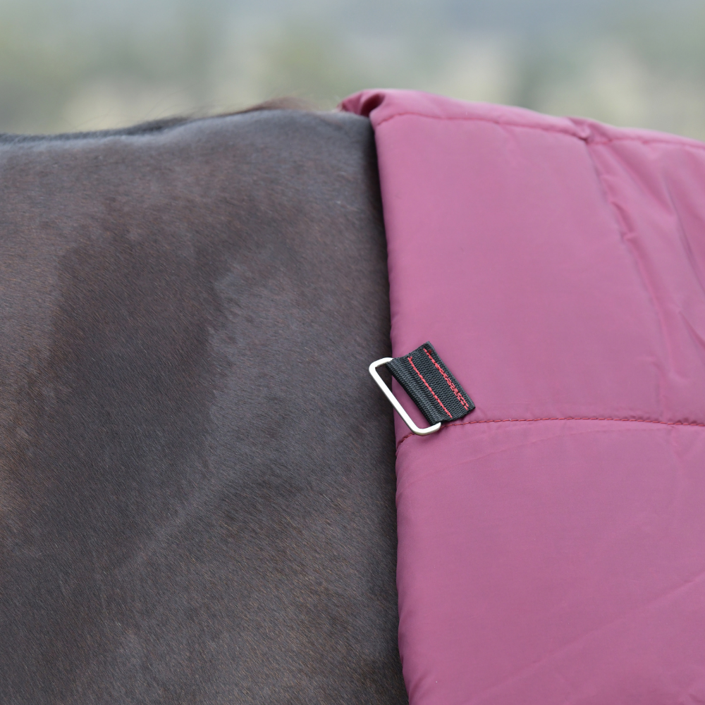 Weatherbeeta Comfitec Essential 50G Combo Turnout #colour_burgundy-navy