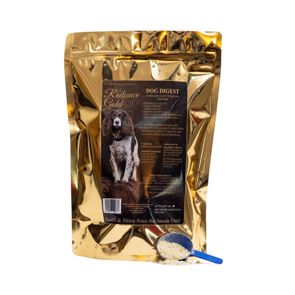 Radiance Gold Dog Digest