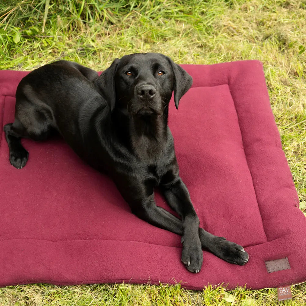 Benji & Flo Luxury Fleece Dog Bed #colour_merlot