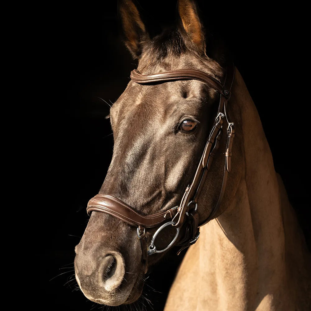 ProPresicce Pelle Drop Leather Bridle by Hy Equestrian #colour_brown-silver