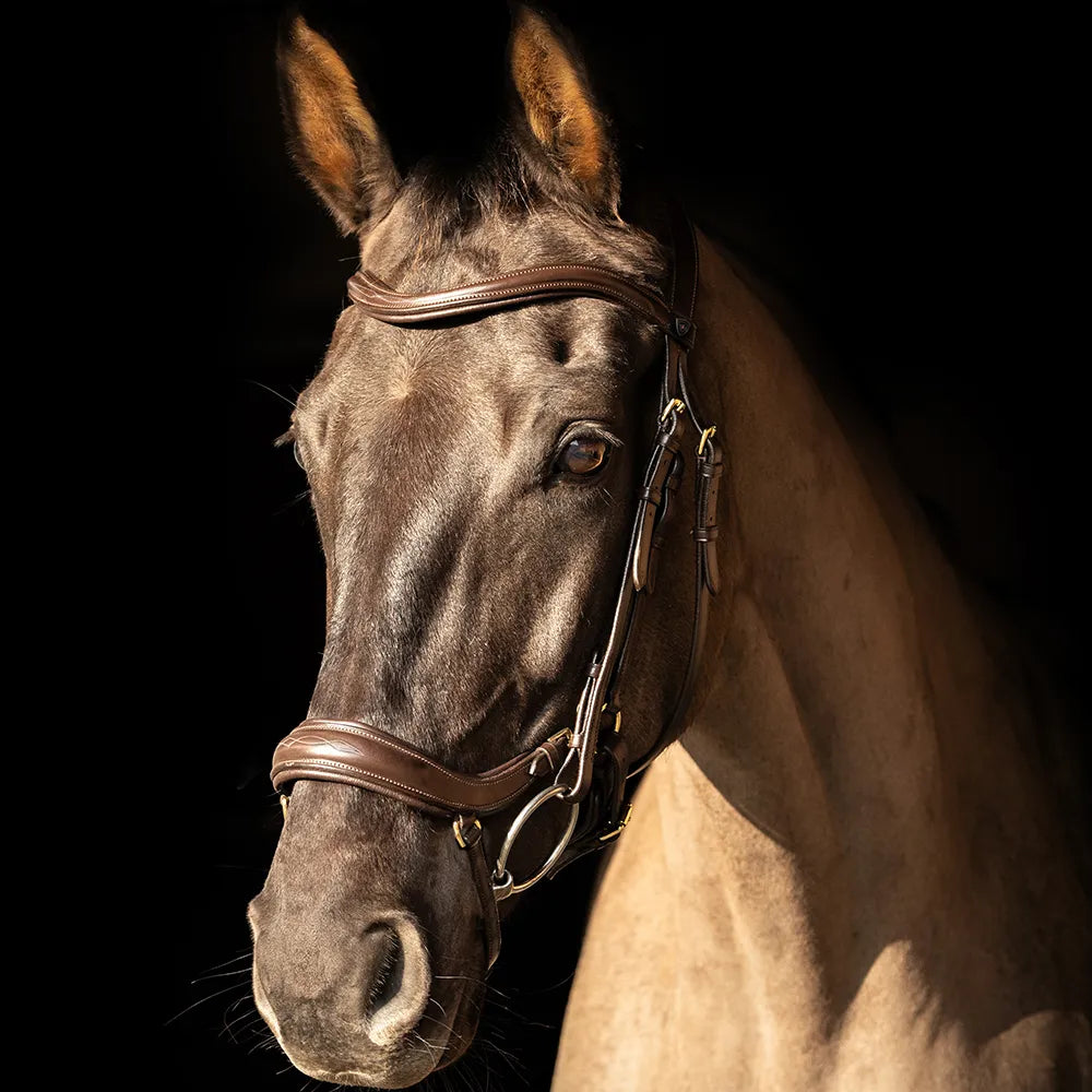 ProPresicce Pelle Drop Leather Bridle by Hy Equestrian #colour_brown-brass