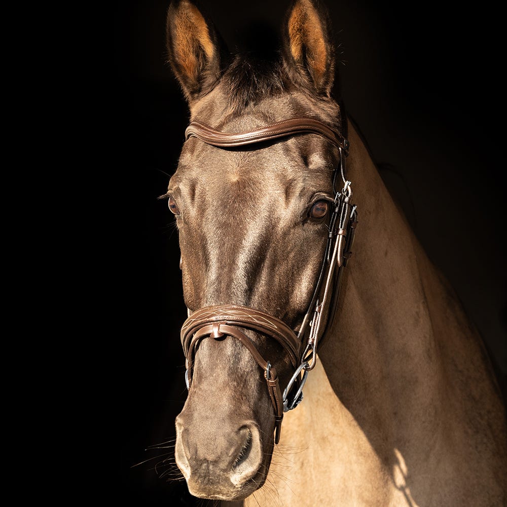 ProPresicce Pelle Raised Flash Leather Bridle by Hy Equestrian #colour_brown-silver