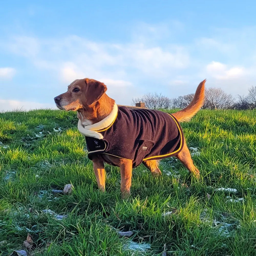 Supreme Products Royal Occasion Fleece Dog Coat #colour_black