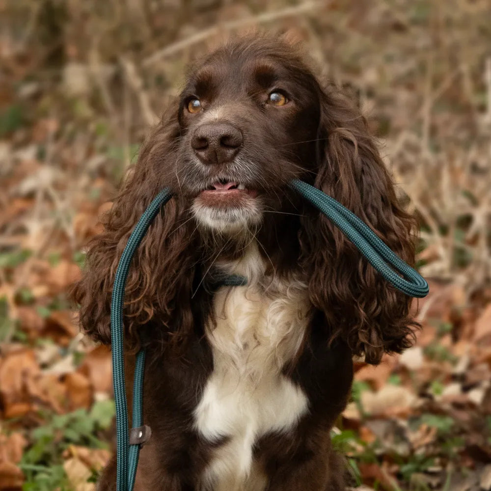 Benji & Flo Classic Slip Lead