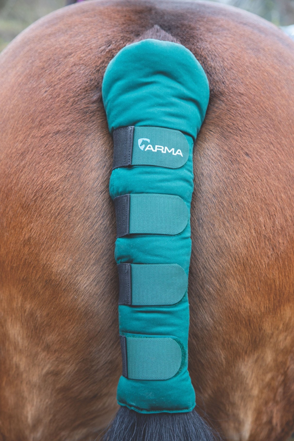 Shires ARMA Padded Tail Guard #colour_green
