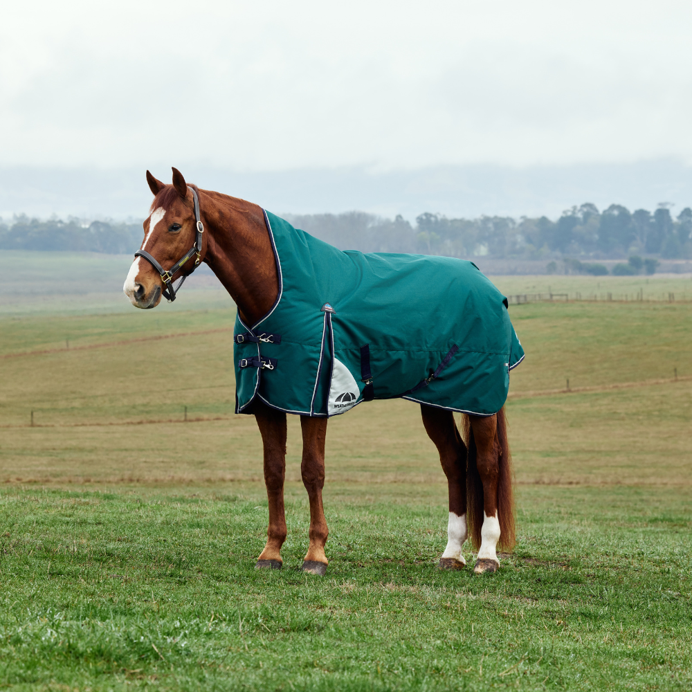 Weatherbeeta Comfitec Plus Dynamic 220G High Neck Turnout #colour_forest-green-navy