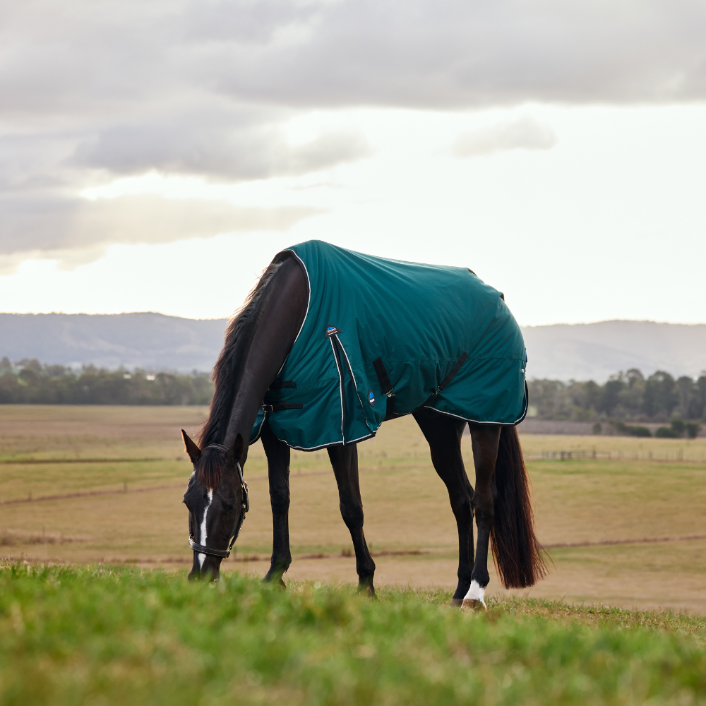 Weatherbeeta Comfitec Classic 50G Turnout #colour_forest-green-black