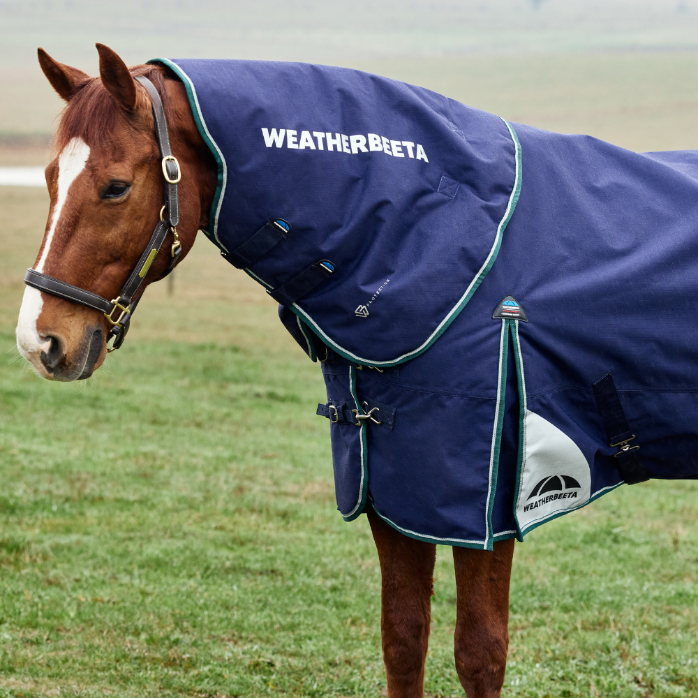 Weatherbeeta Comfitec Plus Dynamic 100G Turnout Neck Cover #colour_navy-forest-green
