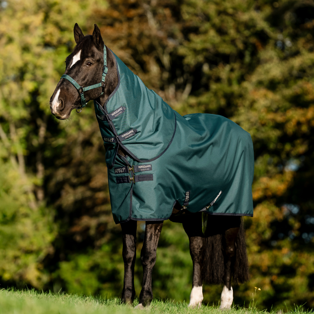 Horseware Ireland Amigo Ripstop 900D Plus 100g Pony Turnout Rug #colour_dynasty-green-navy-silver