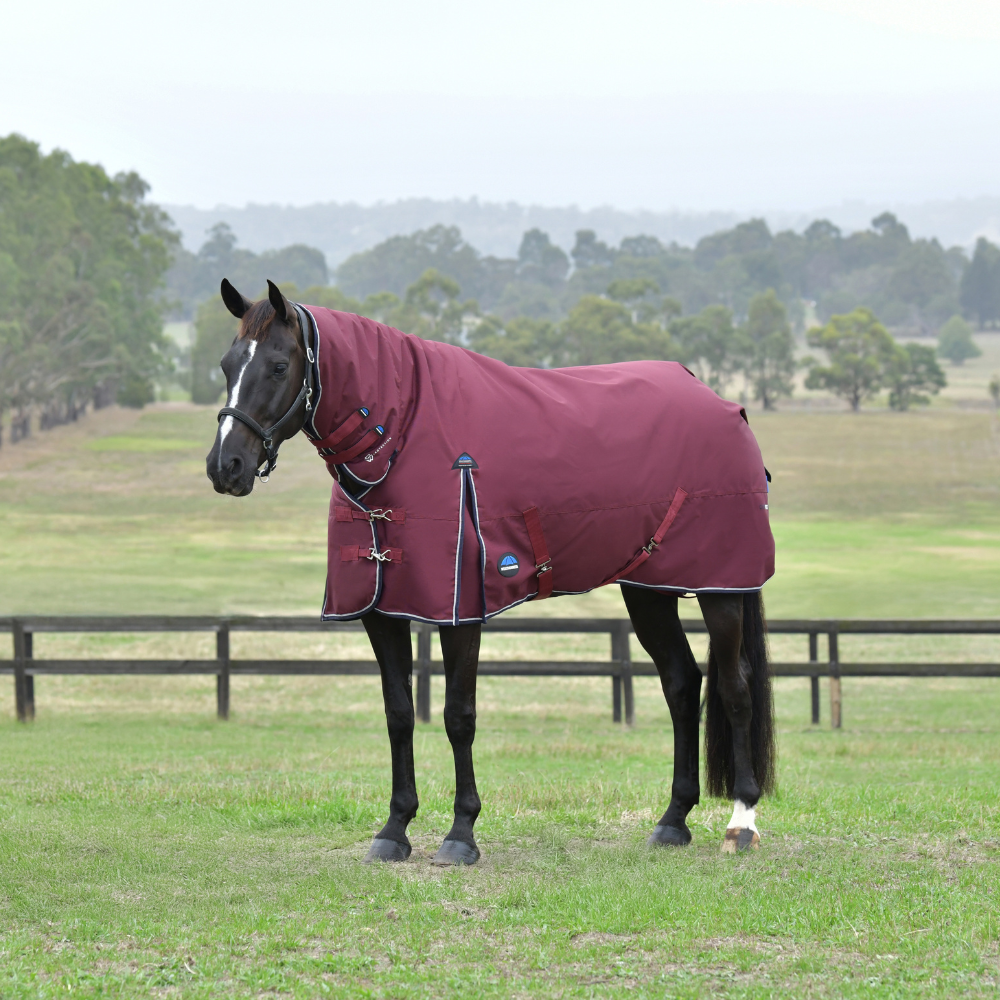 Weatherbeeta Comfitec Essential 50G Combo Turnout #colour_burgundy-navy