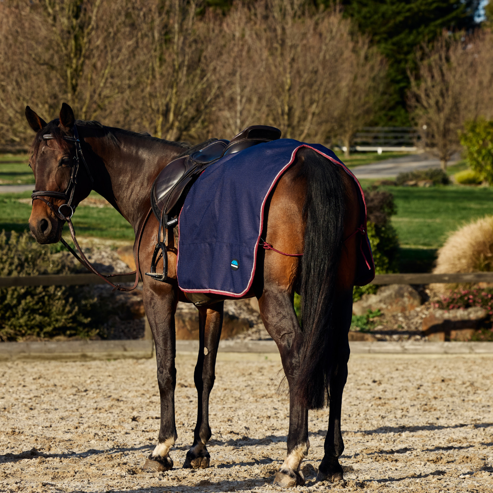 Weatherbeeta Essential Fleece Lined Quarter Sheet #colour_navy-burgundy