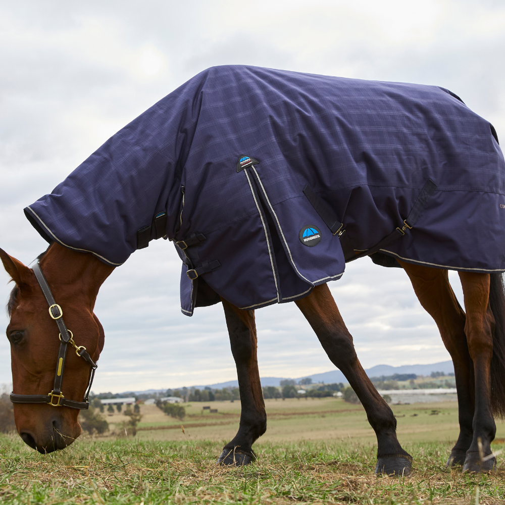 Weatherbeeta Comfitec Prelim 220G Combo Turnout #colour-navy-embossed-plaid