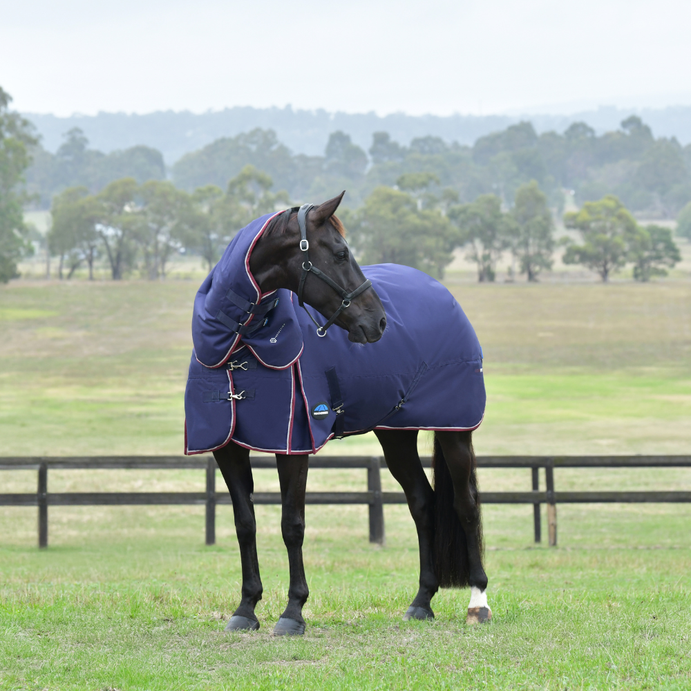 Weatherbeeta Comfitec Essential 50G Detach-A-Neck Turnout #colour_navy-burgundy