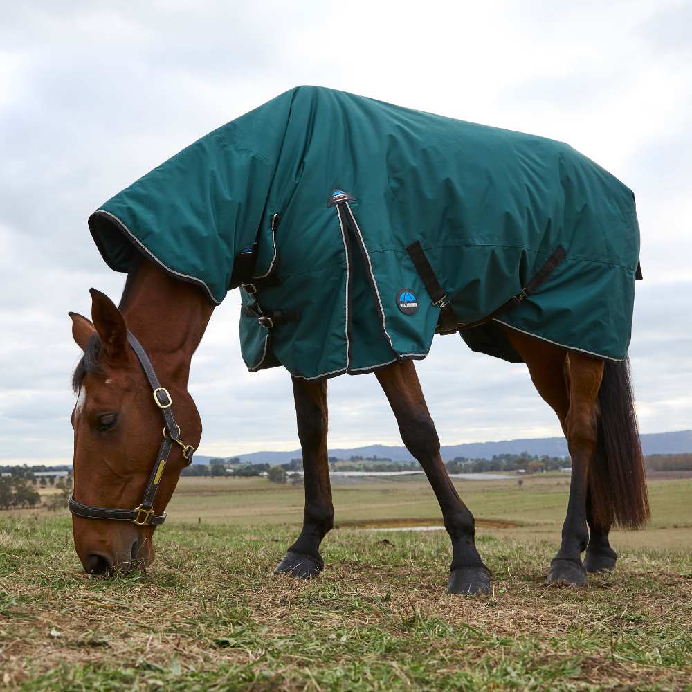 Weatherbeeta Comfitec Classic 360G Combo Turnout #colour_forest-green-black