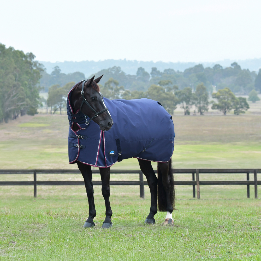 Weatherbeeta Comfitec Essential 220G Combo Turnout #colour_navy-burgundy