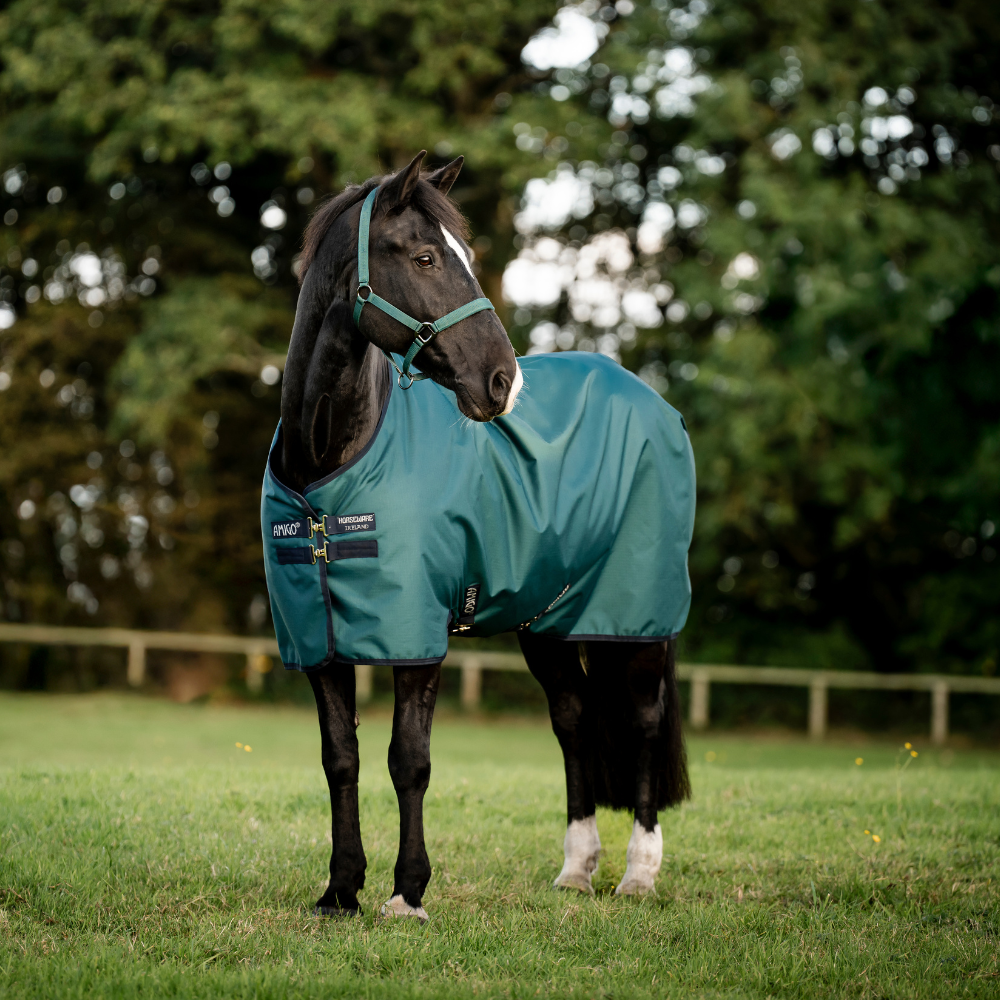 Horseware Ireland Amigo Ripstop 900D 100g Turnout Rug #colour_dynasty-green-navy-silver