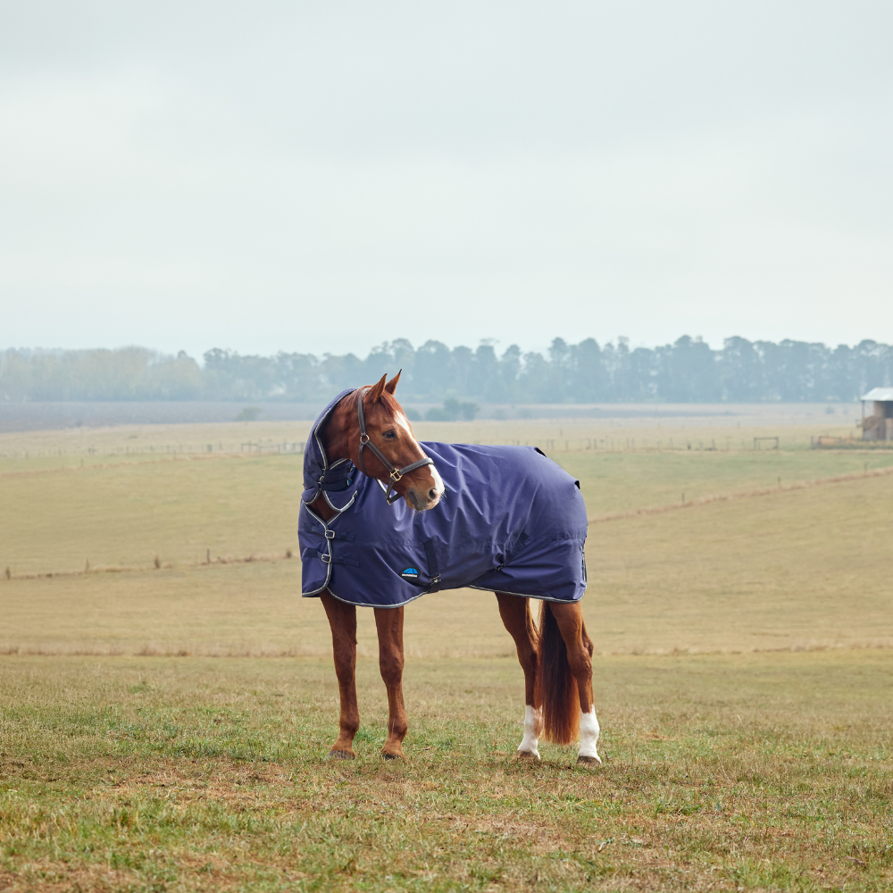 Weatherbeeta Comfitec Tyro 360G Combo Neck Turnout #colour_navy-charcoal