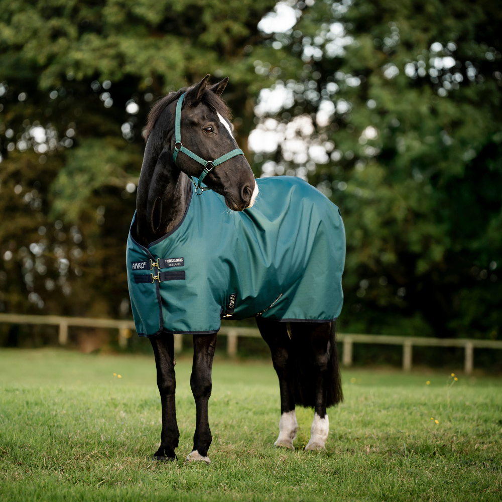 Horseware Ireland Amigo Ripstop 900D Pony 0g Turnout Rug #colour_dynasty-green-navy-silver