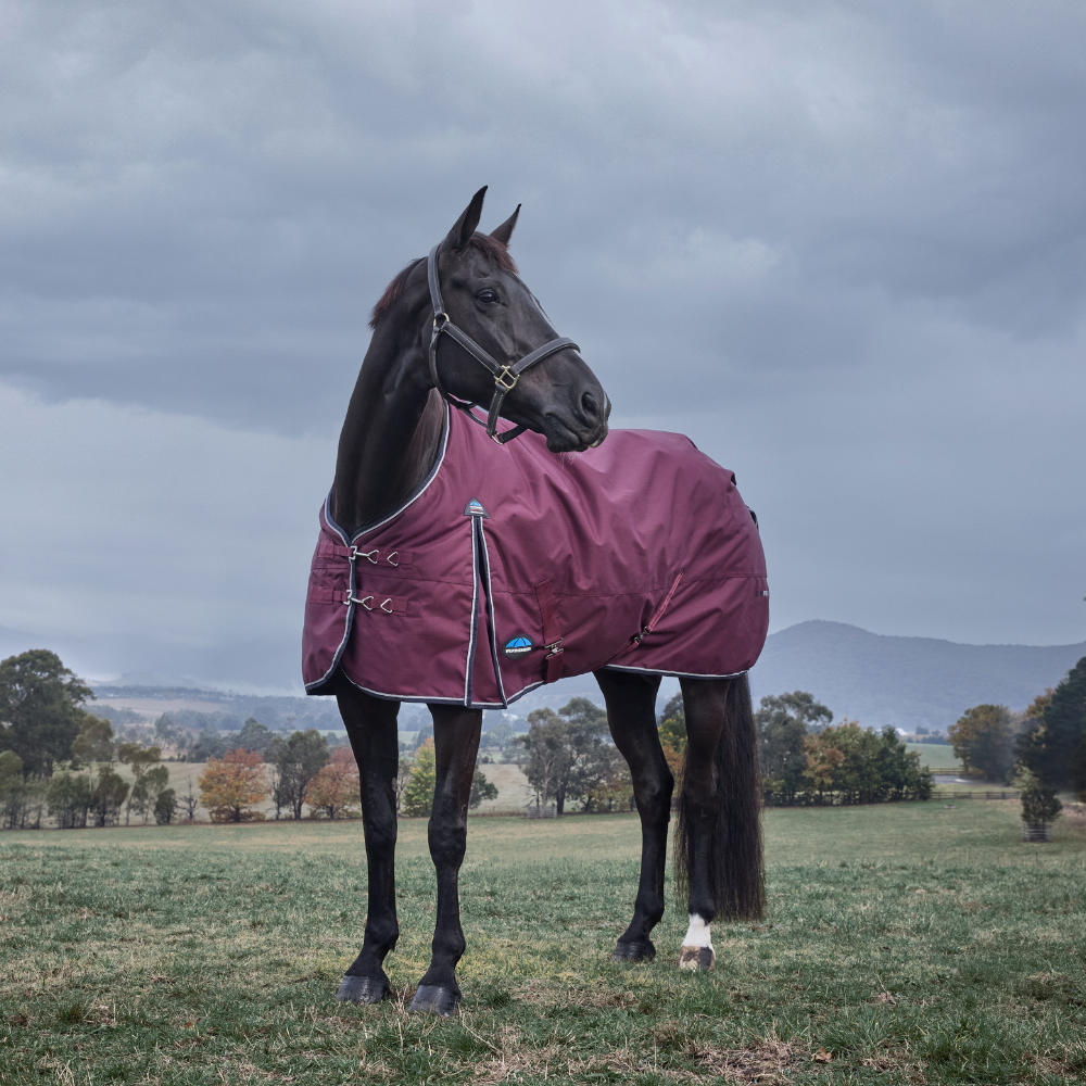 Weatherbeeta Comfitec Essential 220G Turnout #colour_burgundy-navy