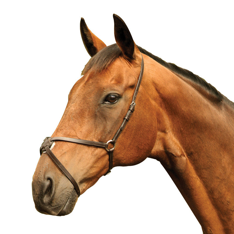 Mackey Classic Mexican Grackle Noseband #colour_brown